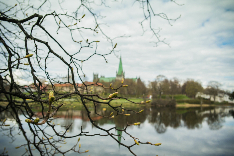Others 5, City Living Sentrum Hotell, Trondheim