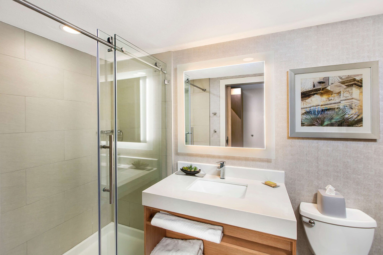 Bathroom 4, DoubleTree by Hilton San Antonio Northwest, Bexar