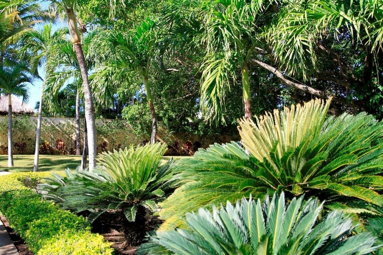 Others 5, Garden Condos, Sosua