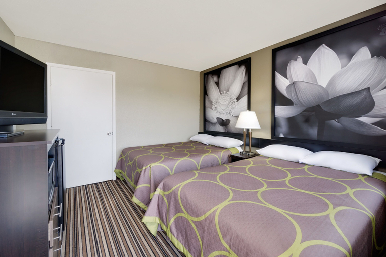 Bedroom 3, Super 8 by Wyndham Florence, Boone