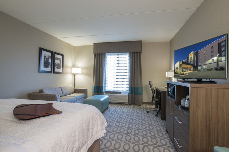 Bedroom 4, Hampton Inn Greenville/I-385 Haywood Mall, Greenville