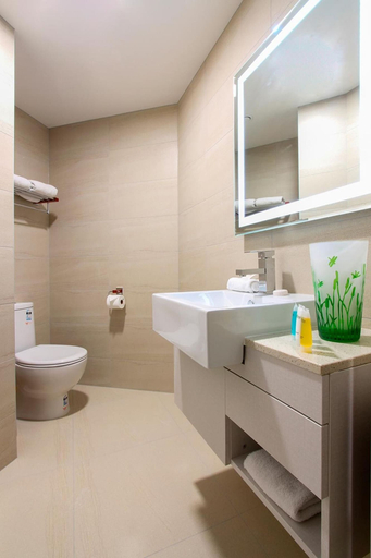 Bathroom 5, VR Queen Street - Hotel & Suites, Waitakere