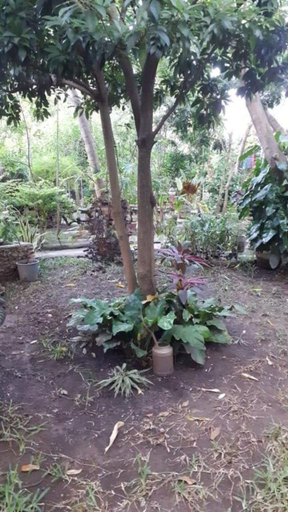 Others 3, Stay.Plus 2 Bedroom Shree Apartment, Nyali
