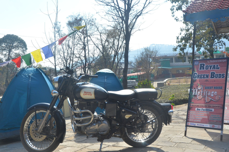 Exterior & Views 2, Royal Green Buds, Kangra