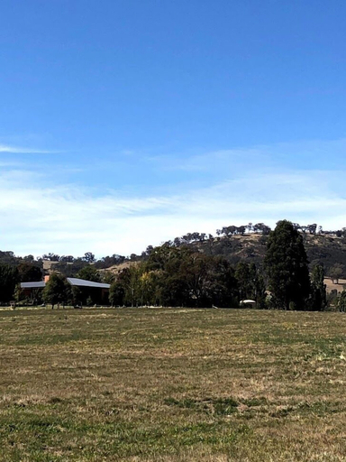 Others 4, Altitude221, Mansfield