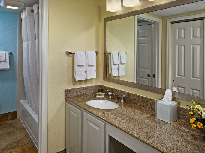 Bathroom 4, Sonesta Es Suites Montgomery, Montgomery
