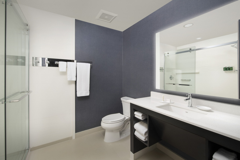 Bathroom 3, Residence Inn by Marriott Lubbock-University Area, Lubbock