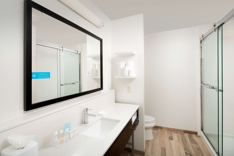 Bathroom 4, Hampton Inn & Suites San Antonio Lackland AFB SeaWorld, Bexar
