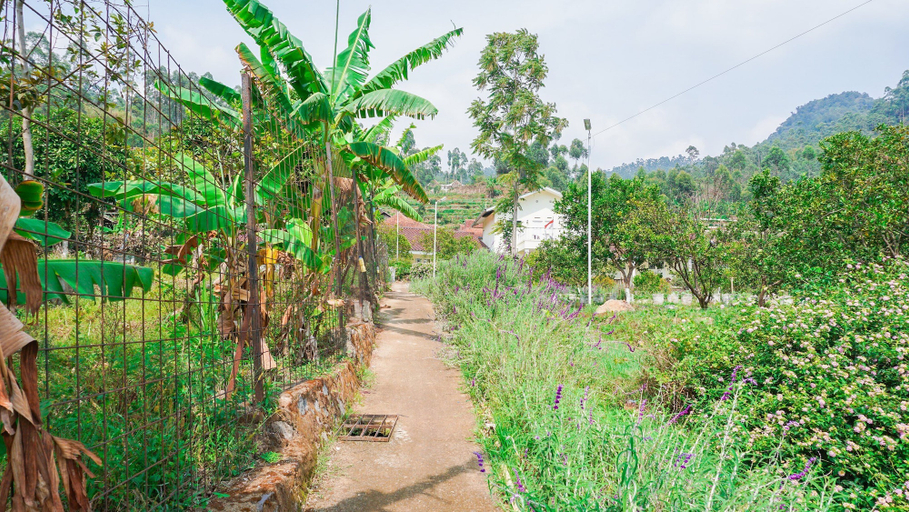 Others 5, OYO 1785 Villa Jeruk Ciwidey, Bandung