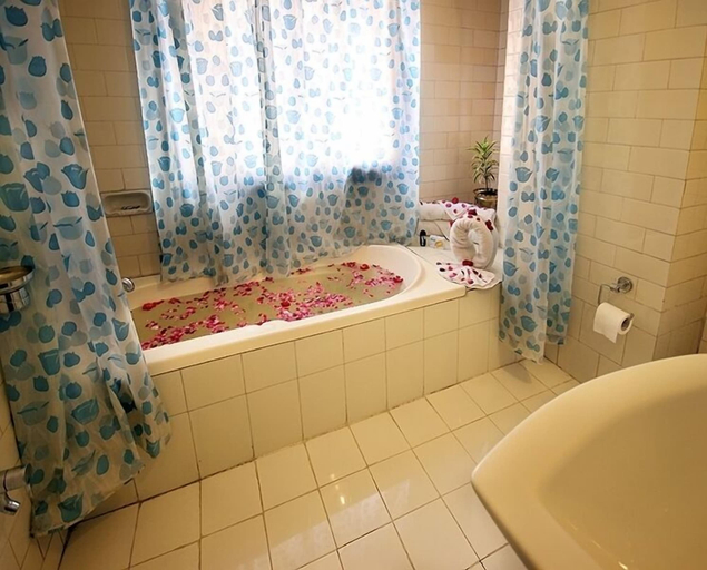 Bathroom 3, Anand Palace Hotel, Udaipur