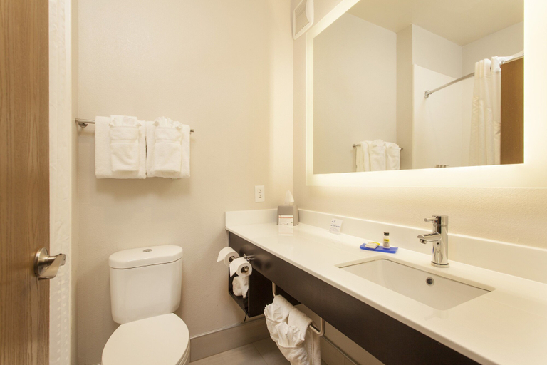 Bathroom 3, Holiday Inn Express & Suites SANTA FE, Santa Fe