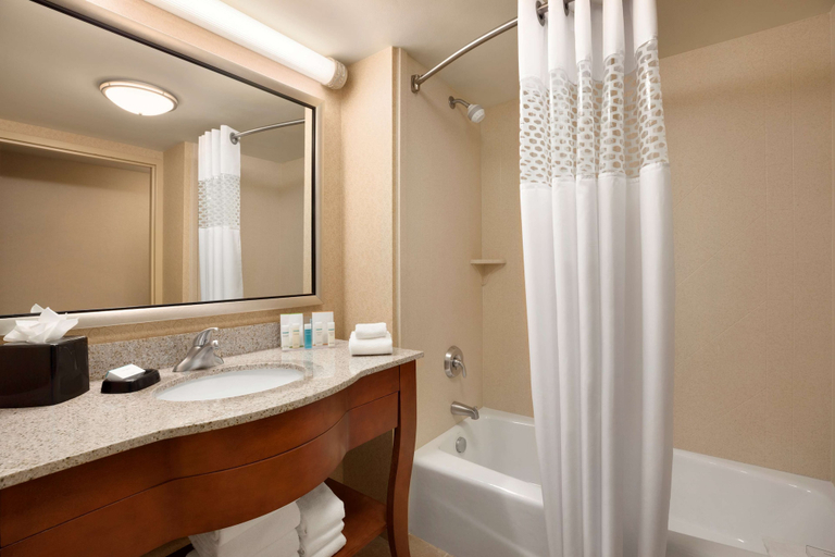 Bathroom 4, Hampton Inn & Suites Hartford/East Hartford, Hartford