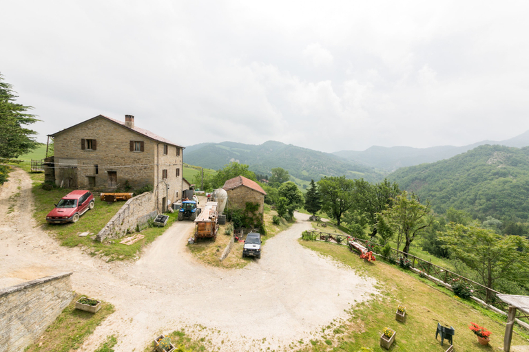 Exterior & Views 2, Agriturismo Antico Frutto, Forli' - Cesena