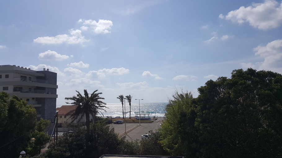 Exterior & Views, Palm on the Beach