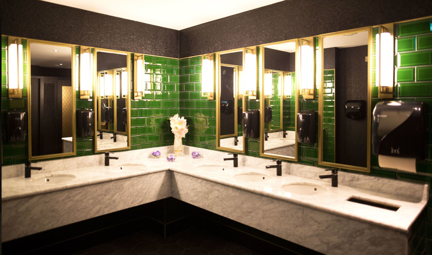 Bathroom 5, Iveagh Garden Hotel, Dublin