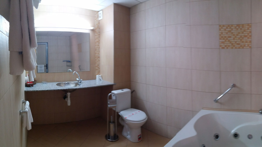 Bathroom 4, ATM Centre Hotel, Stolichna