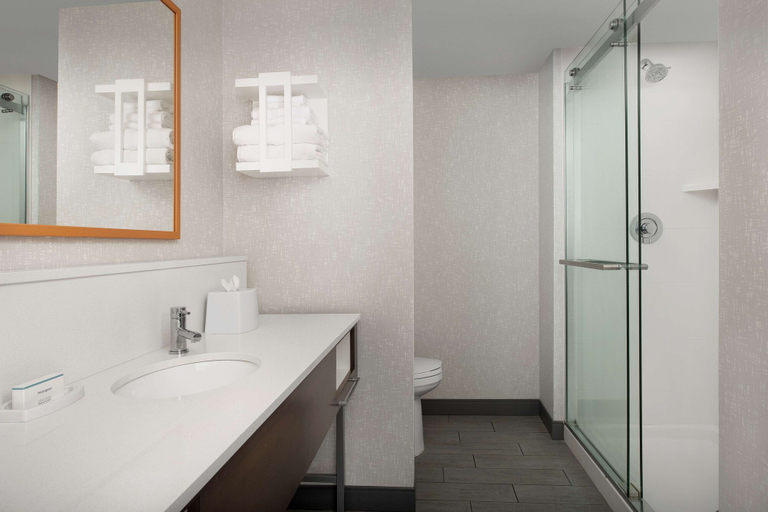 Bathroom 4, Hampton Inn & Suites Rapid City Rushmore, Pennington