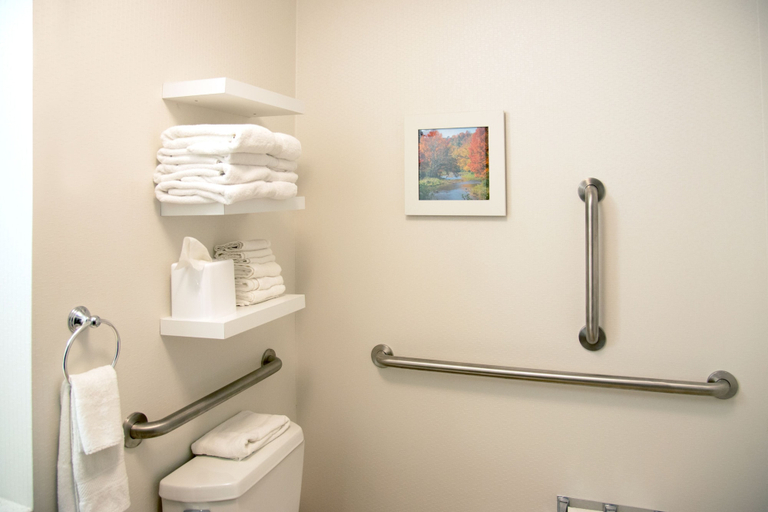 Bathroom 4, Hampton Inn Charleston-Southridge, Kanawha