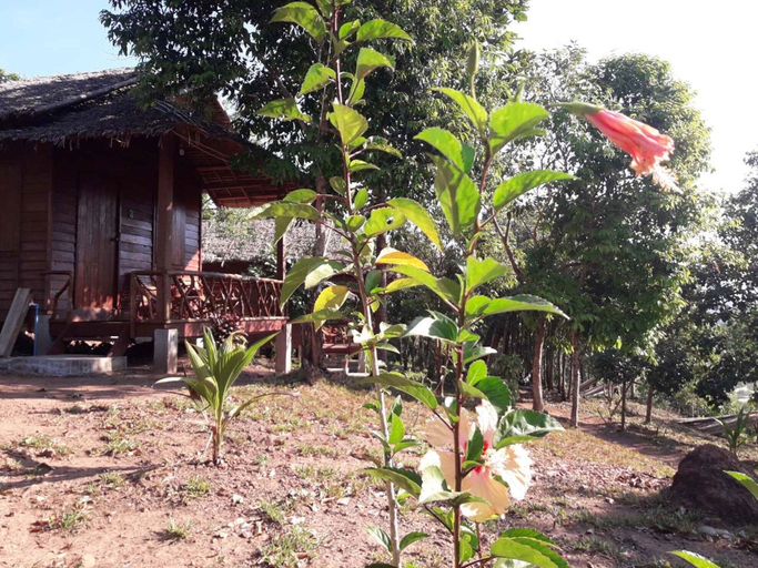 Others 5, Sea View Beach Bungalows, Dawei