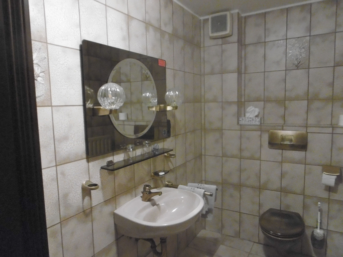 Bathroom 5, Gasthaus Metzgerei Zur Linde, Emmendingen