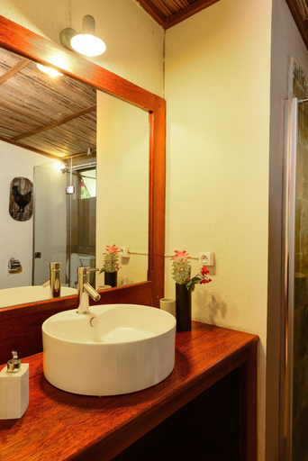 Bathroom 4, La Vieille Cheminee, Black River