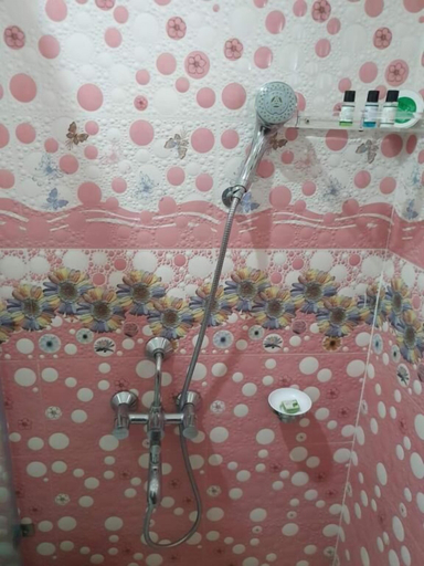 Bathroom 3, Touristen Holiday Home, Kangra