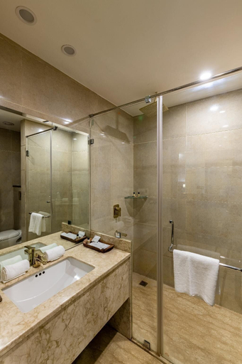 Bathroom 5, The Baagh Ananta Elite, Sawai Madhopur