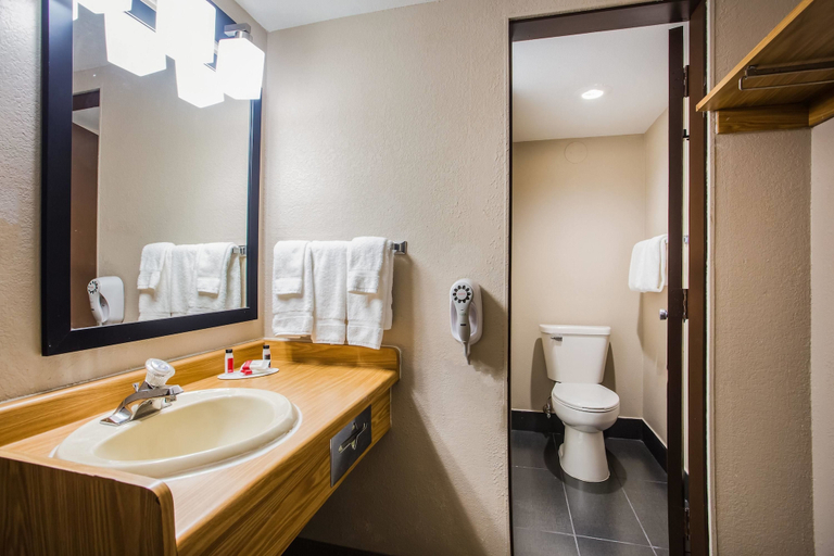 Bathroom 4, Baymont by Wyndham Appleton, Outagamie