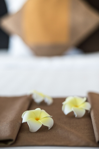 Food & Drinks 29