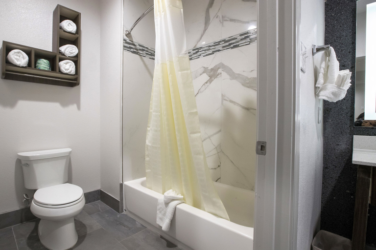 Bathroom 3, House Hotel, Houston