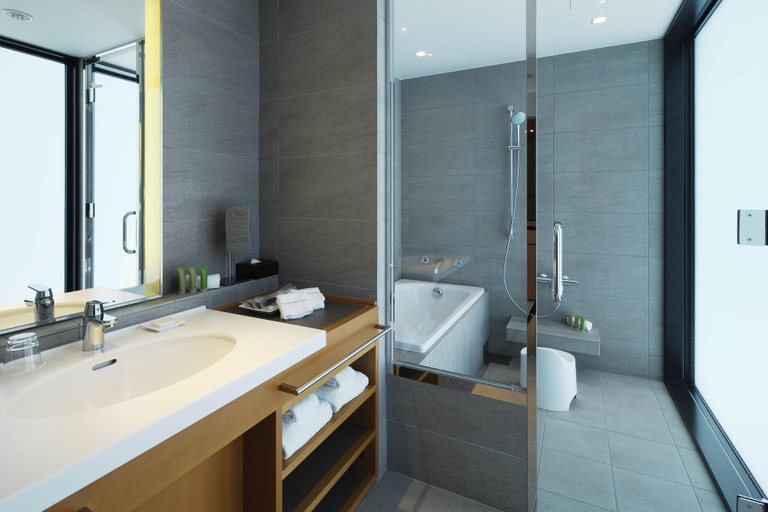 Bathroom 4, Nippondaira Hotel, Shizuoka