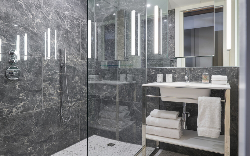Bathroom 4, Herbert Park Hotel, Dublin