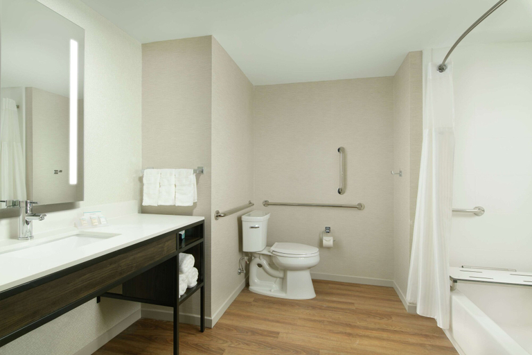 Bathroom 4, Hilton Garden Inn Memphis Downtown Beale Street, Shelby