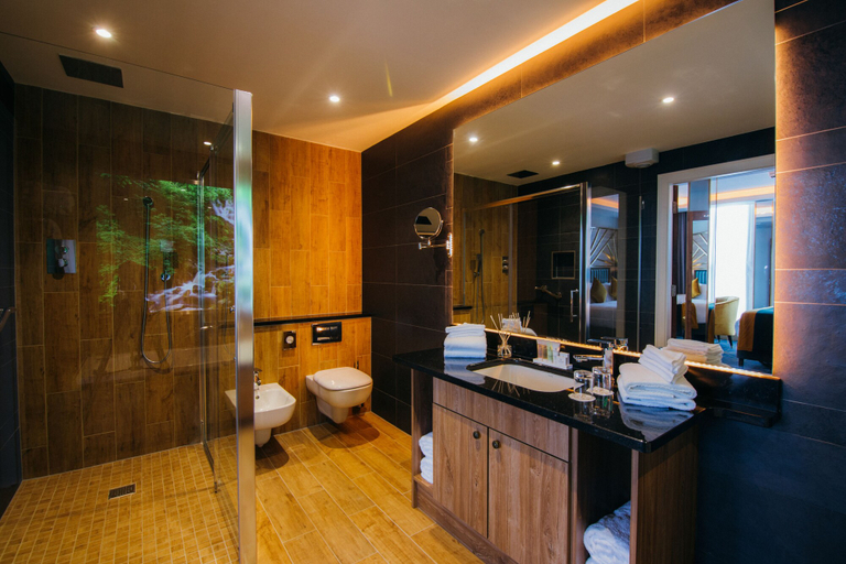 Bathroom 5, Iveagh Garden Hotel, Dublin