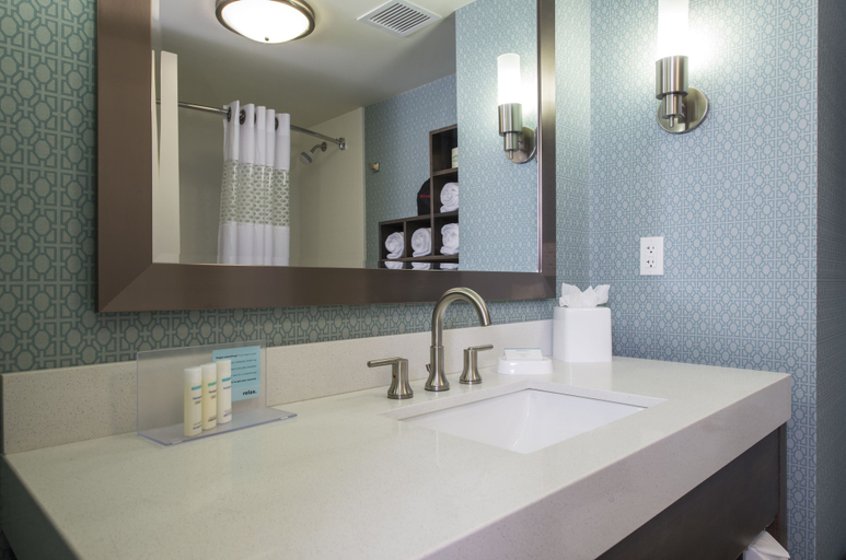 Bathroom 5, Hampton Inn Greenville/I-385 Haywood Mall, Greenville