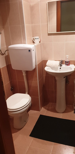 Bathroom 3, Guest House Bikica, Vrnjačka Banja