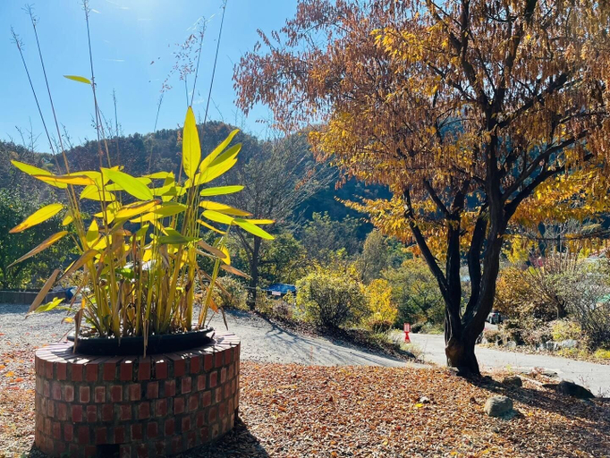Others 5, Gapyeong Hutan Pension, Gapyeong