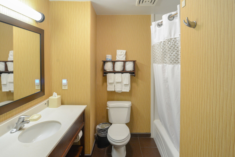 Bathroom 4, Hampton Inn & Suites Tampa-North, Hillsborough