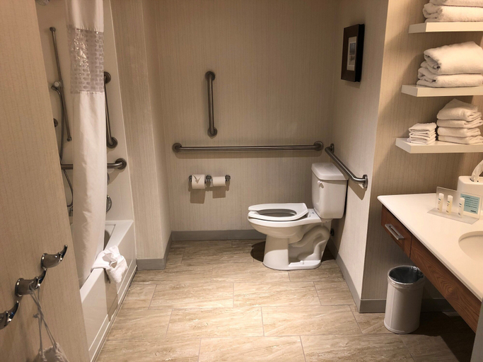 Bathroom 4, Hampton Inn & Suites Tampa Busch Gardens Area, Hillsborough