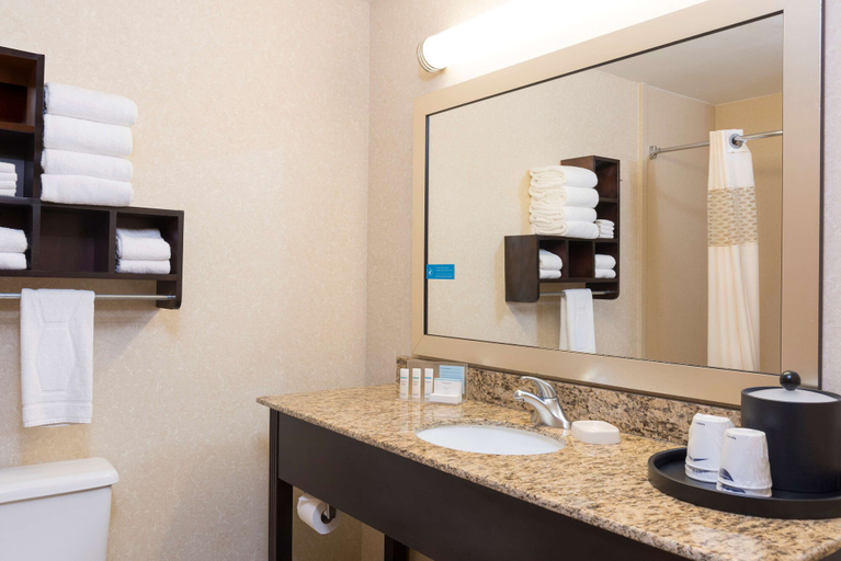 Bathroom 4, Hampton Inn Port Huron, Saint Clair