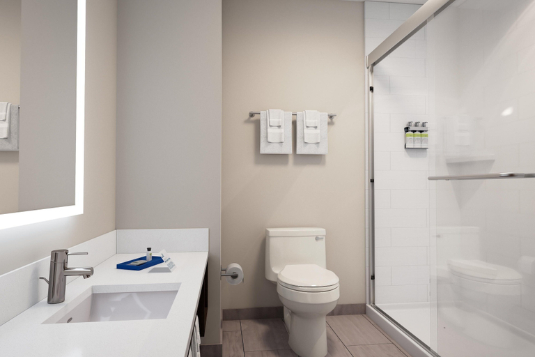 Bathroom 5, Holiday Inn Express EVANSVILLE - WEST by IHG, Vanderburgh