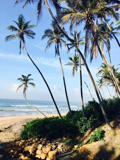 Others 3, Surf Ocean Villa, Matara Four Gravets