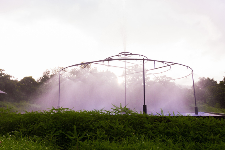 Others 4, Shetty Farms, Palghar