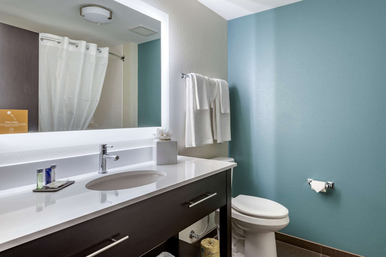 Bathroom 4, Sleep Inn Durango, La Plata