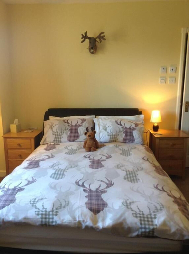 Bedroom 2, The Hawthorns Bed & Breakfast, Highland