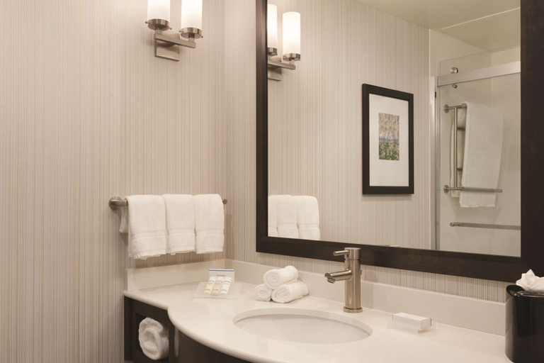 Bathroom 5, Hilton Garden Inn Boston Logan Airport, Boston