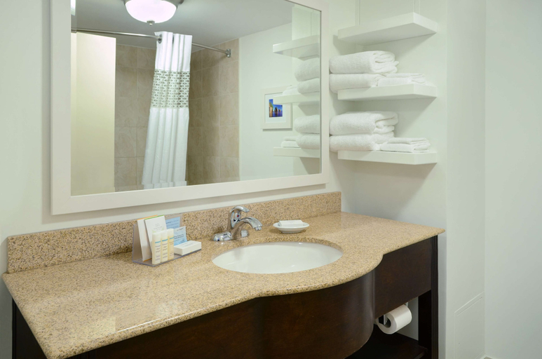 Bathroom 5, Hampton Inn & Suites Saint John, Saint John