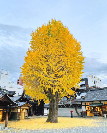 Exterior & Views 2, Hotel Crush On, Kyoto