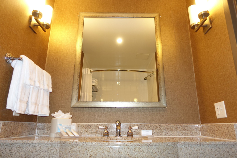 Bathroom 4, Hilton Garden Inn Houston-Pearland, Brazoria