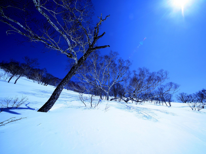 Others 3, Yuzawa Ski House, Minamiuonuma
